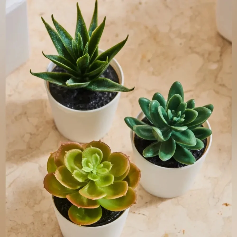 🪴3 PACK Succulent🪴 Artificial Potted Plant Succulent 3 Pack Home Decor Cactus